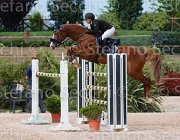 ROMANO LAS VEGAS CampITA2013- S5 0671 : Campionati Italiani 2013, Cattolica, Horse Riviera Resort, LAS VEGAS, ROMANO ROMINA, foto di Stefano Secchi ©